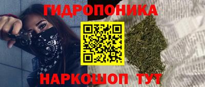 spice Балашиха