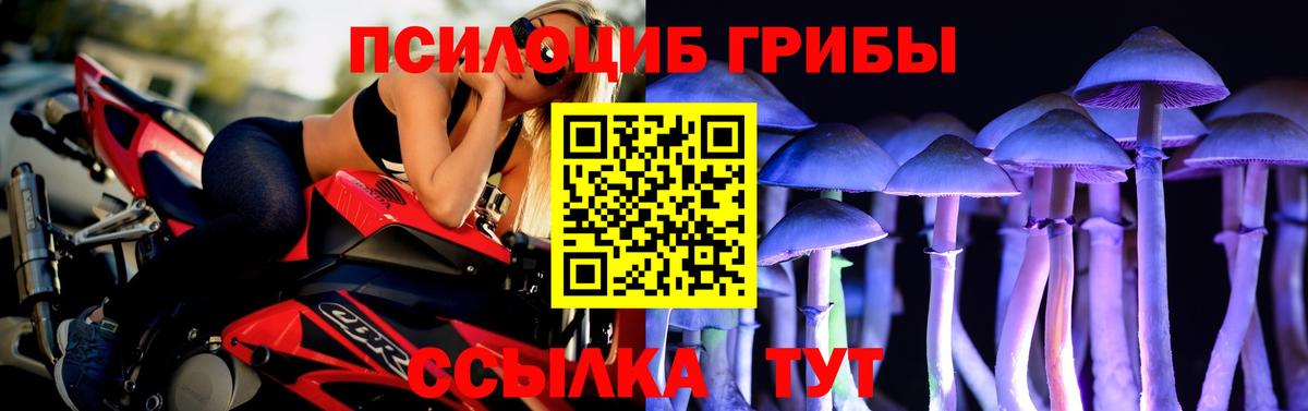 Галлюциногенные грибы Magic Shrooms Гуково