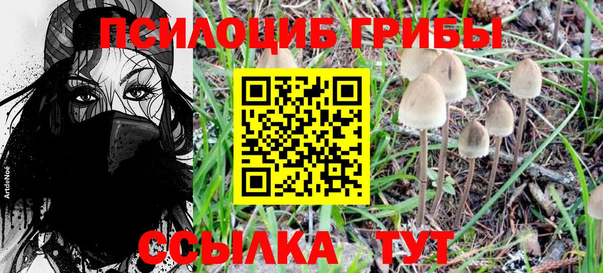 Гуково  Псилоцибиновые грибы Psilocybe  Вход с VPN  Галлюциногенные грибы Cubensis 