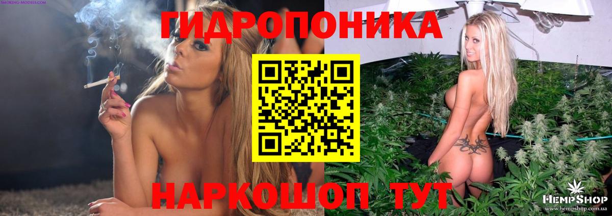 Бошки марихуана сатива Гуково